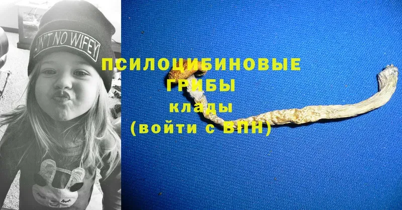 Галлюциногенные грибы мухоморы Карачаевск