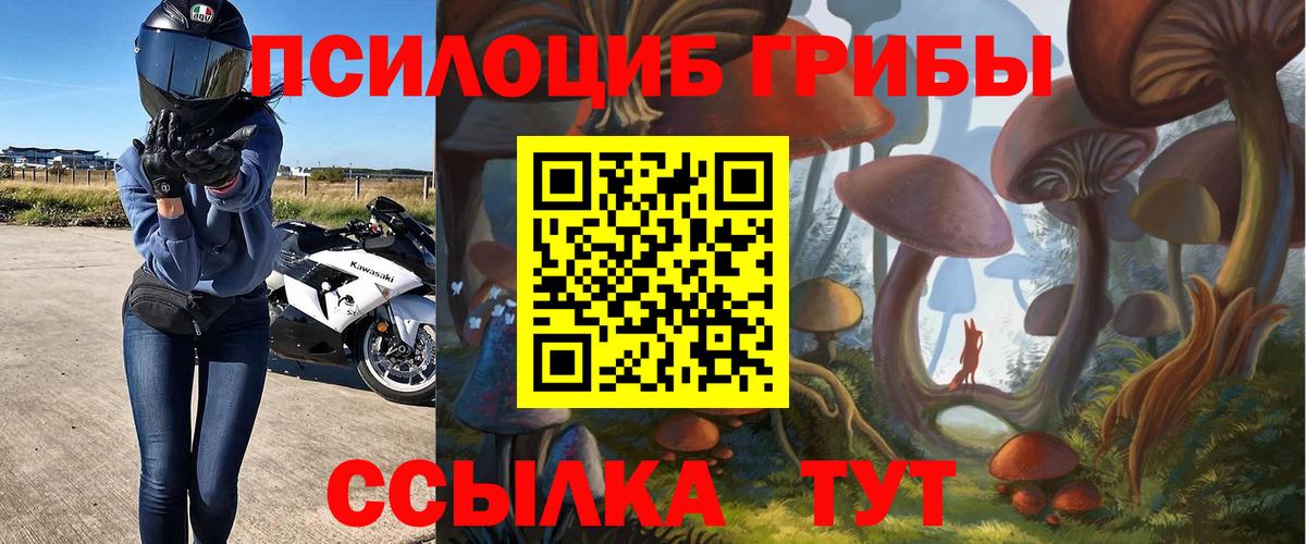 Карачаевск  Галлюциногенные грибы Magic Shrooms  Вход с VPN 