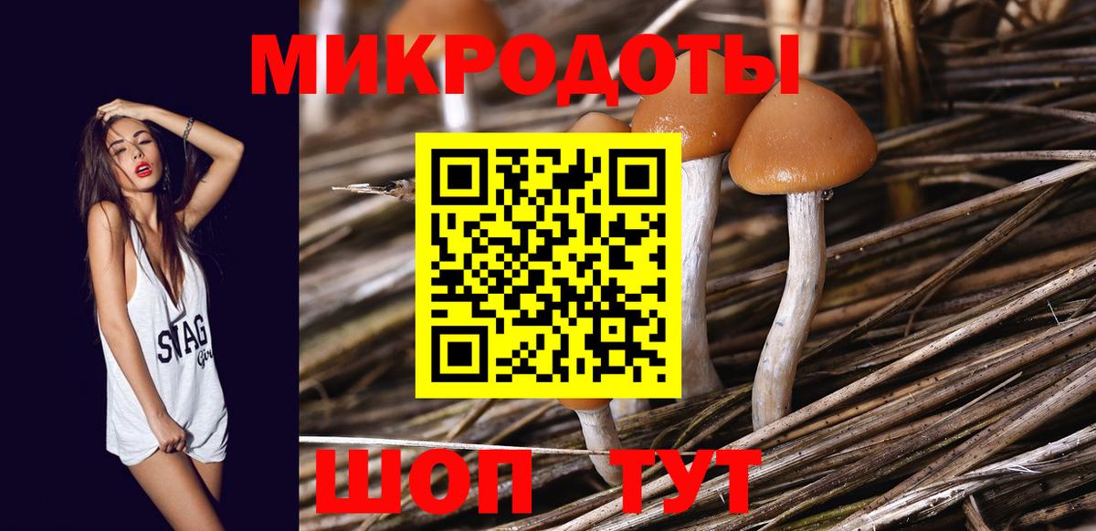 Галлюциногенные грибы Cubensis Карачаевск