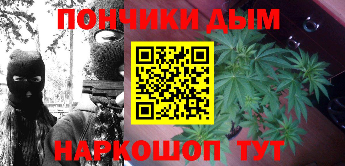 Карачаевск  Конопля семена  Бошки Шишки тримм  Канабис сатива  Вход с VPN 